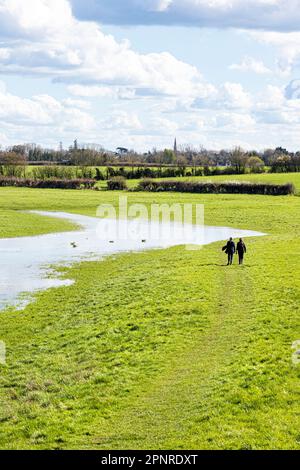 Il sentiero del Tamigi lungo percorso a piedi accanto al neonato Tamigi 1 km dalla sua sorgente a Tamigi Head sul Cotswolds vicino a Kemble, Glos. REGNO UNITO Foto Stock