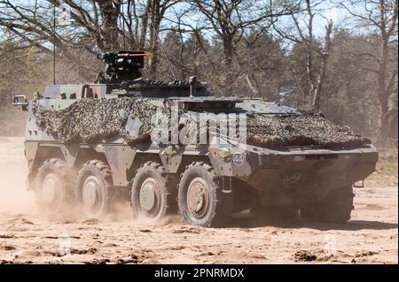 Il veicolo da combattimento blindato Boxer della Royal Netherlands Army. Foto Stock