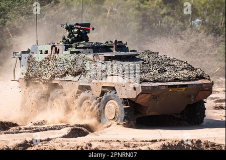 Il veicolo da combattimento blindato Boxer della Royal Netherlands Army. Foto Stock