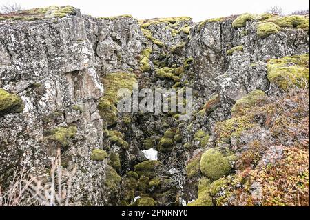 Parco Nazionale Thingvellir nel sud-est dell'Islanda. Foto Stock