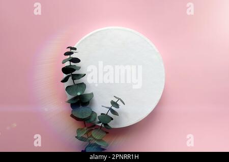 Vista dall'alto del podio bianco rotondo con ramo verde di eucalipto su sfondo rosa. Luce del sole arcobaleno alla moda. Foto Stock