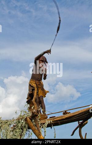 Un tradizionale ardesia per espellere gli uccelli dai campi agricoli Hamer Tribe, Etiopia Foto Stock