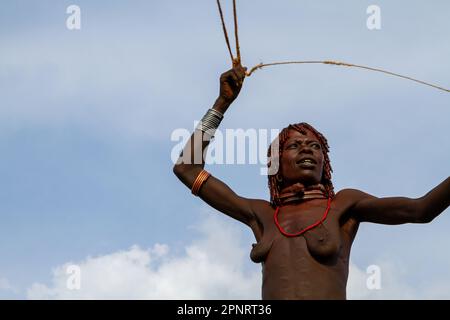 Un tradizionale ardesia per espellere gli uccelli dai campi agricoli Hamer Tribe, Etiopia Foto Stock