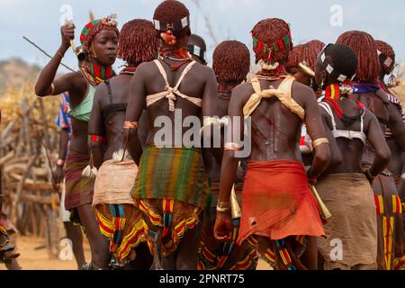 Bull-jumping cerimonia donne parenti danza Hamer Tribe, Etiopia Foto Stock