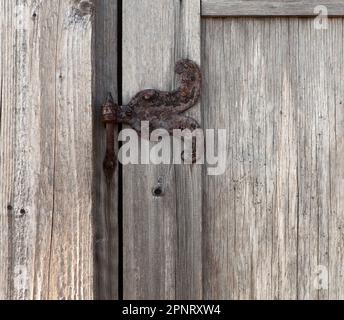 Porta di legno, cerniera arrugginita, e la parete. Impiallacciatura intemperiata in primo piano. Foto Stock