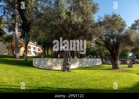 Ivecis Maliotou Park nel centro storico di Pafos, Cipro Foto Stock