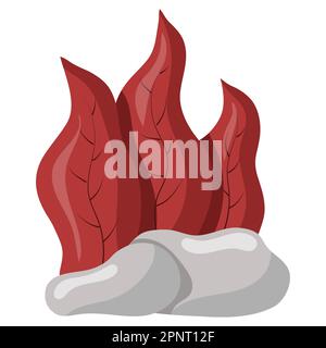 Illustrazione vettoriale di alghe rosse isolate su sfondo bianco. Acquario erba su rocce Illustrazione Vettoriale