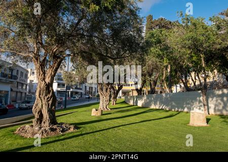 Ivecis Maliotou Park nel centro storico di Pafos, Cipro Foto Stock