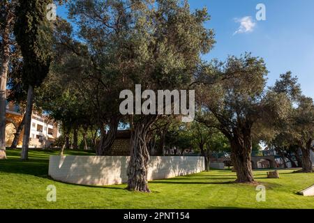 Ivecis Maliotou Park nel centro storico di Pafos, Cipro Foto Stock