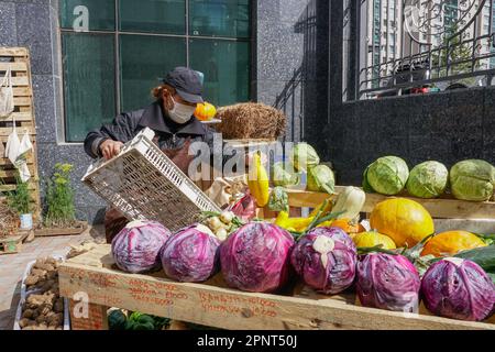 Il Budjargal Perenlei vende verdure di casa nel distretto di Khan-Uul, Ulaanbaatar, Mongolia il 8 settembre 2021. Il suo stand fa parte di un mercato ecologico che presenta verdure biologiche, scaffali realizzati con prodotti riciclati e sacchetti di carta, che incoraggiano i consumatori a non utilizzare plastica. (Nansalmaa Oyunchimeg/Global Press Journal) Foto Stock