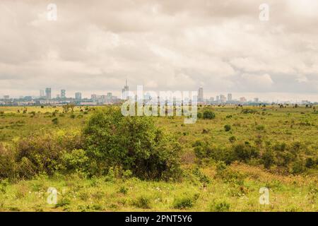 Skyline di Nairobi visto dal Parco Nazionale di Nairobi, Kenya Foto Stock