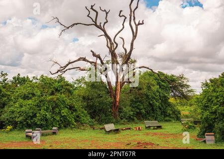 Vista panoramica delle sedie sotto gli alberi presso il sito picnic al Parco Nazionale di Nairobi, Kenya Foto Stock