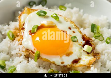 Colazione a base di uova fritte e riso fatte in casa con salsa di soia Foto Stock