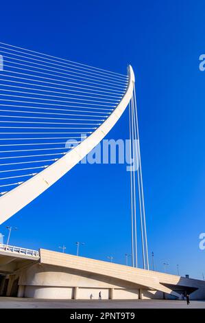 Valencia, Spagna - 17 luglio 2022: Città delle arti e delle scienze. Foto Stock
