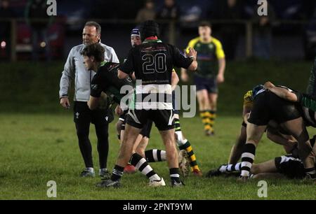 L4landeilo RFC / Cefneithin RFC 2023 WRU West 3b Foto Stock