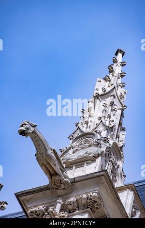 gargoyle, Sainte-Chapelle de Vincennes, la cappella gotica reale, Parigi, Francia Foto Stock