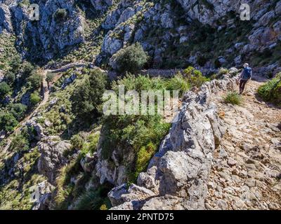 Un camminatore sulla ripida discesa tra il Coll des Prat e il monastero di Lluc sulla GR 221 Drystone percorso attraverso i Monti Tramuntana di Maiorca Foto Stock