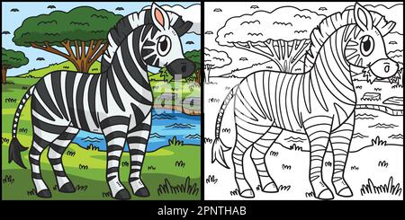 Zebra Coloring Page Illustrazione colorata Illustrazione Vettoriale