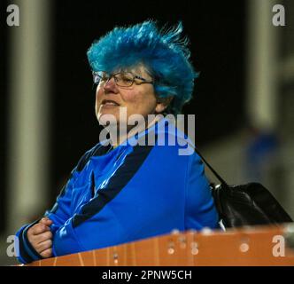 Saint Helens, Merseyside, Inghilterra 20th aprile 2023. Warrington Wolves ventilatore con capelli blu Foto Stock