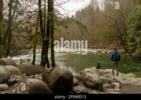 La piscina di 30 piedi nel Lynn Canyon, appena fuori North Vancouver, B.C., Canada, offre una nuotata rinfrescante in estate e un luogo meditativo in inverno Foto Stock