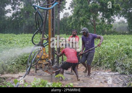 Da sinistra, Rasalingam Mohanraj, Rasarathinam Vinotharan e Sagadevan Saruksan scavano un pozzo con una macchina a Cheddikulam, Vavuniya, Sri Lanka il 30 ottobre 2021. Dal momento che il livello di falda freatica è basso, lavoratori scavano borewells ad una profondità di 100 piedi come un'alternativa a fonti ordinarie per bisogni agricoli. (Thayalini Indrakularasa/Global Press Journal) Foto Stock