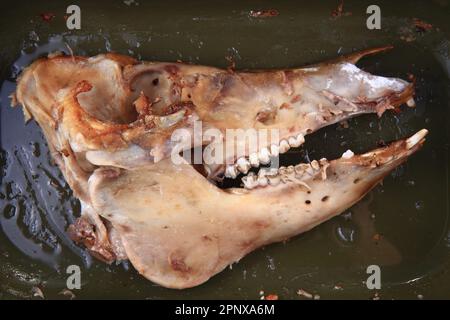 osso del cranio dalla testa di maiale arrostita come sfondo alimentare Foto Stock