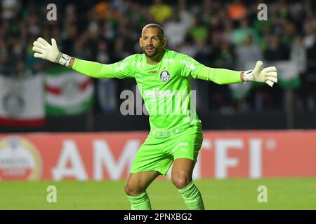 SAO PAULO, BRASILE - 20 APRILE: Weverton durante la partita tra Palmeiras e Cerro Porteño come parte del Gruppo C del Conmebol Libertadores 2023 allo Stadio Morumbi il 20 aprile 2023, a São Paulo, Brasile. (Foto di Leandro Bernardes/PxImages) Foto Stock