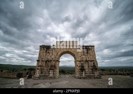 Resti archeologici dell'antica città romana di Volubilis. Foto Stock