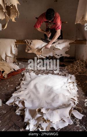 Un operaio nelle concerie di Fez ammorbidisce le pelli già conciate con un attrezzo speciale che viene spinto con il petto. Foto Stock