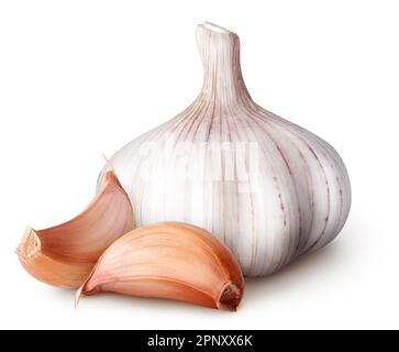 Aglio isolato. L'aglio crudo con segmenti isolati su sfondo bianco, con il tracciato di ritaglio Foto Stock