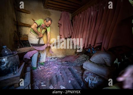 Un operaio nelle concerie di Fez ammorbidisce le pelli già conciate con un attrezzo speciale che viene spinto con il petto. Foto Stock