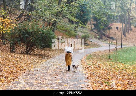 una giovane donna cammina un cane da aquila in un parco autunnale Foto Stock