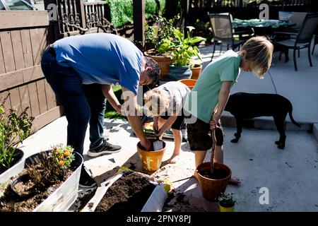 Nipoti che piantano con zio per la primavera a San Diego Foto Stock