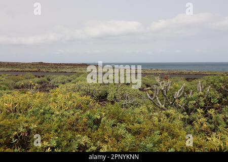 Seascape nel nord di Lanzarote Foto Stock