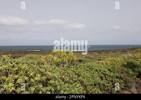 Seascape nel nord di Lanzarote Foto Stock