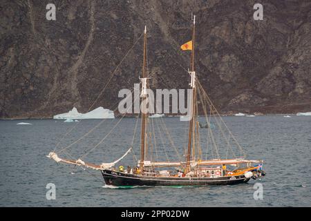 Opal barca a vela turistica esplorando Fon Fjord, Groenlandia Foto Stock