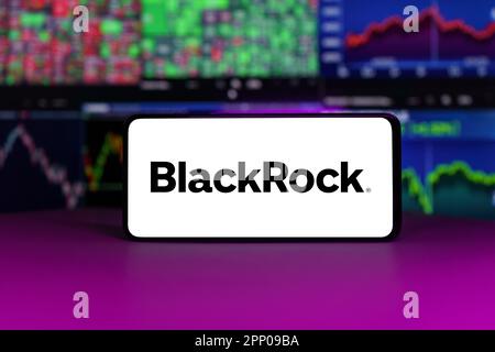 Indice del mercato azionario di Blackrock davanti ai grafici del mercato azionario sfondo Foto Stock