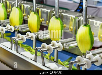 Linea di produzione automatica di macchine da pelare mango su macchinari in fabbrica Foto Stock