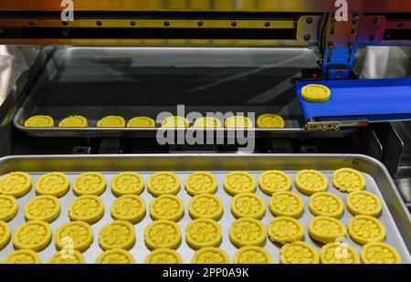 Linea di produzione automatica di snacks dorati su macchine per nastri trasportatori in fabbrica, produzione alimentare industriale. Foto Stock