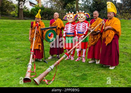 Poole, Dorset, Regno Unito. 21st aprile 2023. I monaci di Tashi Lhunpo al Faro, Poole benedicono il luogo e il loro prossimo tour con una cerimonia/spettacolo speciale (chiamata stampa). I monaci tibetani Tashi Lhunpo aprono il loro ultimo tour nel Regno Unito, il potere della compassione al Faro di Poole il 2 maggio. Otto monaci tibetani celebrano il 50th° anniversario della ricostruzione del loro monastero in India, dopo essere stati costretti dalla loro patria dall'occupazione cinese del Tibet 50 anni fa, con un programma di danza mascherata, musica e rituale tantrico. Credit: Carolyn Jenkins/Alamy Live News Foto Stock