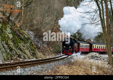 Vecchia locomotiva a vapore sui monti Harz in Germania che attraversa la foresta Foto Stock