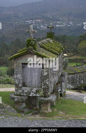 I granai di Soajo o Espigueiros de Soajo in Portogallo sono chiamati anche canastro, canico o horreo. La funzione è quella di asciugare il granoturco denso Foto Stock