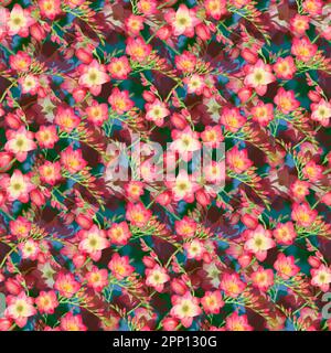 fiori rossi freesia, bel bouquet ramo su uno sfondo rosso, senza cuciture motivo tropico acquerello illustrazione. Foto Stock