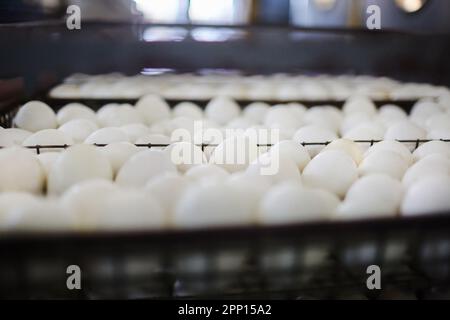 Molte uova in incubatore di calore Foto Stock