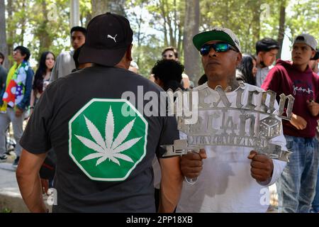 20 aprile 2023 Toluca, Messico : migliaia di giovani e adulti sono scesi per le strade della città dove hanno partecipato alla camminata sulla cannabis del 5th in commemorazione della Giornata Mondiale della Cannabis, chiedendo la sua legalizzazione come pianta per scopi ricreativi. Il 20 aprile 2023 a Toluca, Messico. (Credit Image: © Arturo Hernandez/eyepix via ZUMA Press Wire) SOLO PER USO EDITORIALE! Non per USO commerciale! Foto Stock