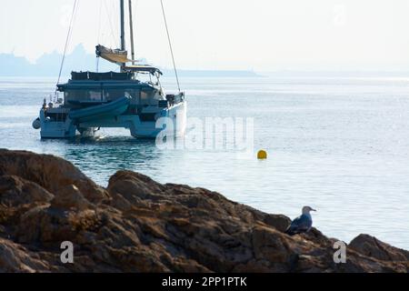 Catamarano ancorato al largo della costa rocciosa di Ses Illetes con il porto di Palma sullo sfondo nella nebbia Foto Stock