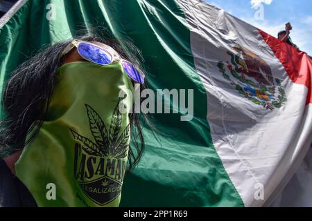 Toluca, Messico. 20th Apr, 2023. 20 aprile 2023 Toluca, Messico : migliaia di giovani e adulti sono scesi per le strade della città dove hanno partecipato alla camminata sulla cannabis del 5th in commemorazione della Giornata Mondiale della Cannabis, chiedendo la sua legalizzazione come pianta per scopi ricreativi. Il 20 aprile 2023 a Toluca, Messico. (Foto di Arturo Hernández/Eyepix Group/Sipa USA) Credit: Sipa USA/Alamy Live News Foto Stock