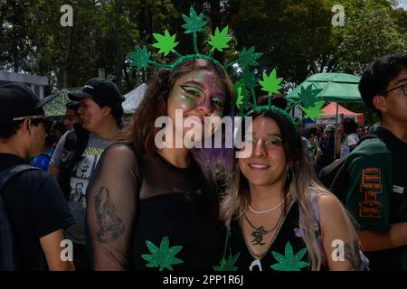 Toluca, Messico. 20th Apr, 2023. 20 aprile 2023 Toluca, Messico : migliaia di giovani e adulti sono scesi per le strade della città dove hanno partecipato alla camminata sulla cannabis del 5th in commemorazione della Giornata Mondiale della Cannabis, chiedendo la sua legalizzazione come pianta per scopi ricreativi. Il 20 aprile 2023 a Toluca, Messico. (Foto di Arturo Hernández/Eyepix Group/Sipa USA) Credit: Sipa USA/Alamy Live News Foto Stock