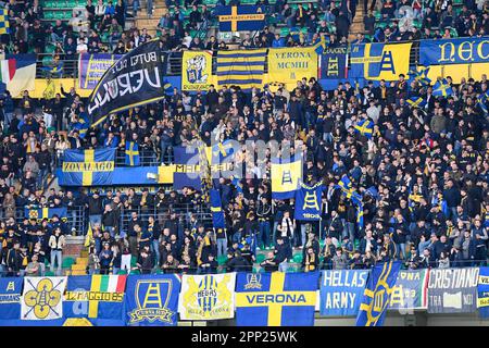 Verona, Italia. 21st Apr, 2023. Tifosi dell'Hellas Verona FC durante l'Hellas Verona FC vs Bologna FC, calcio italiano Serie A match in Verona, Italia, Aprile 21 2023 Credit: Independent Photo Agency/Alamy Live News Foto Stock