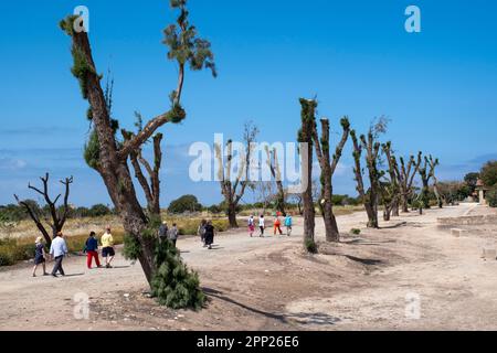 Le guide del tour scortano un gruppo di turisti stranieri intorno al parco archeologico di Paphos e ai mosaici, Paphos, Cipro Foto Stock